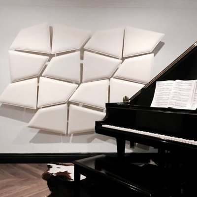 31_Flap_Residential_Music-Room_Wall